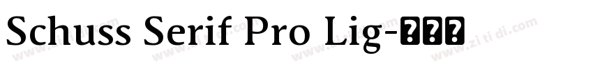 Schuss Serif Pro Lig字体转换